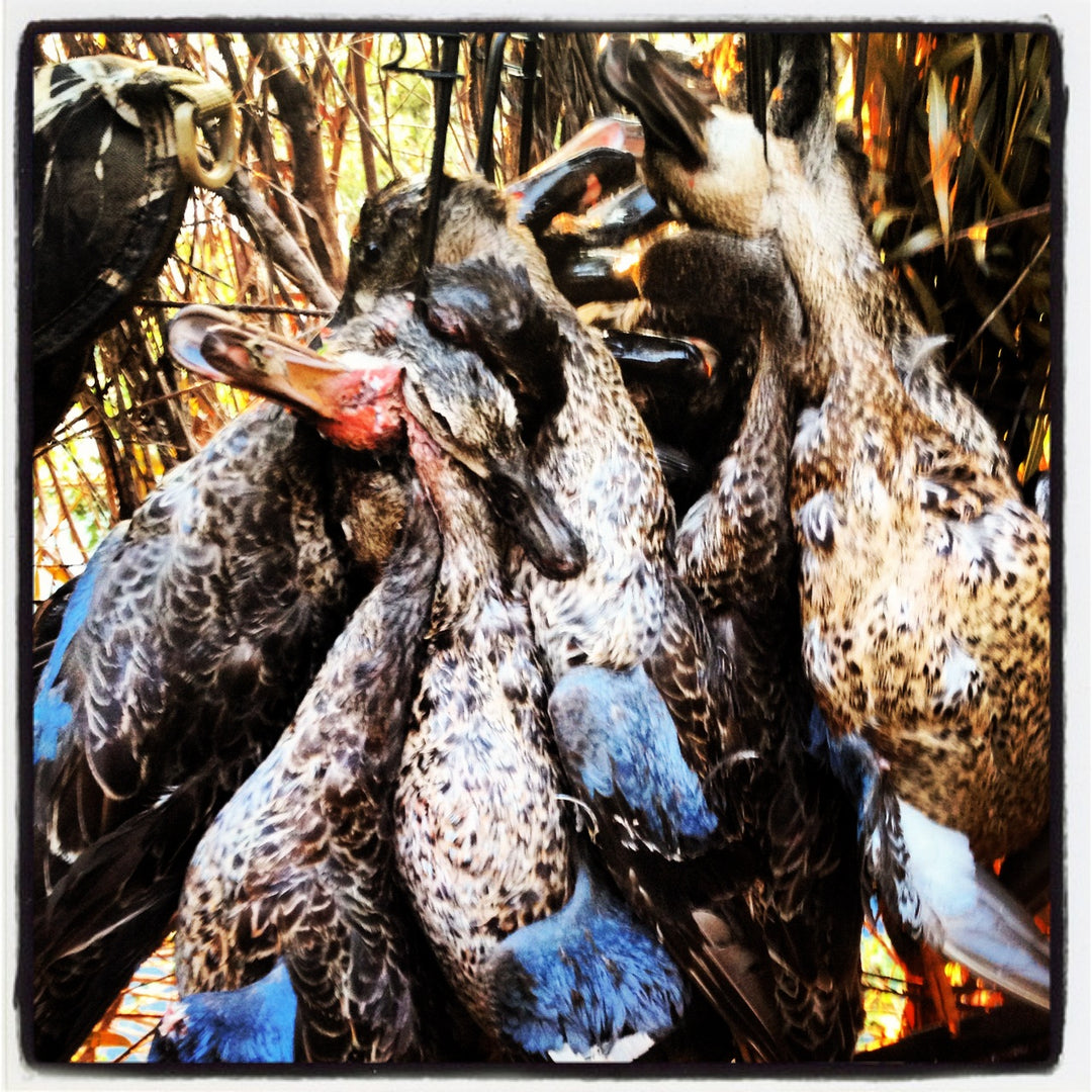 2015 Teal Season with Justin Martin - Part 1