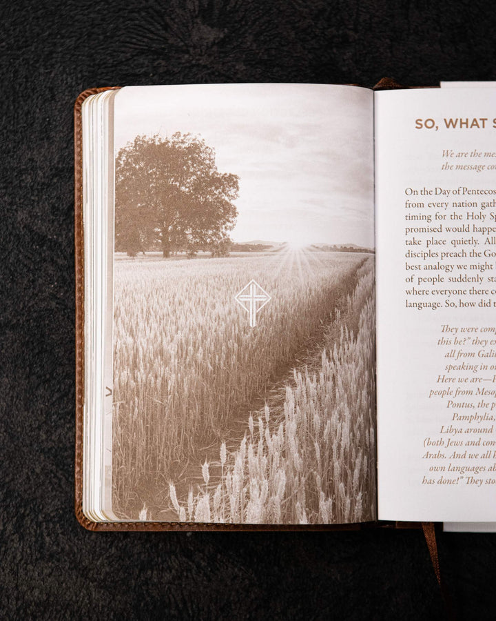 Gospel Courage (40 Days to Sharing your Faith)